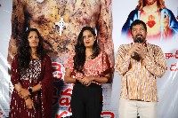 Vadevadu Veedevadu Mana Premaku Aadevadu Movie Press Meet